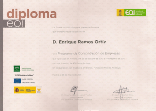 Diploma "Programa Consolidacion Empresas"